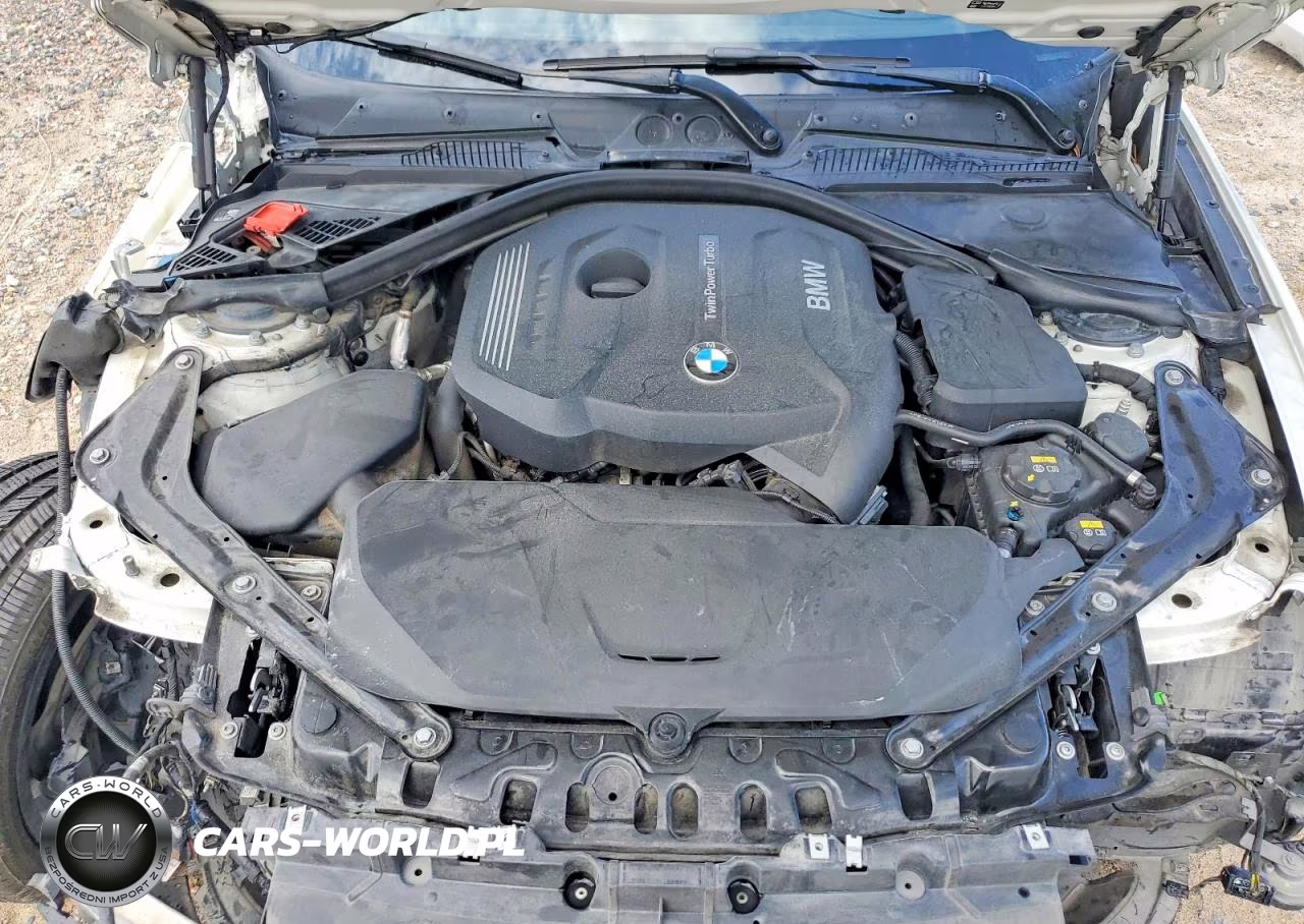 2017 BMW 230I VIN:WBA2K9C35HV647390 - 11