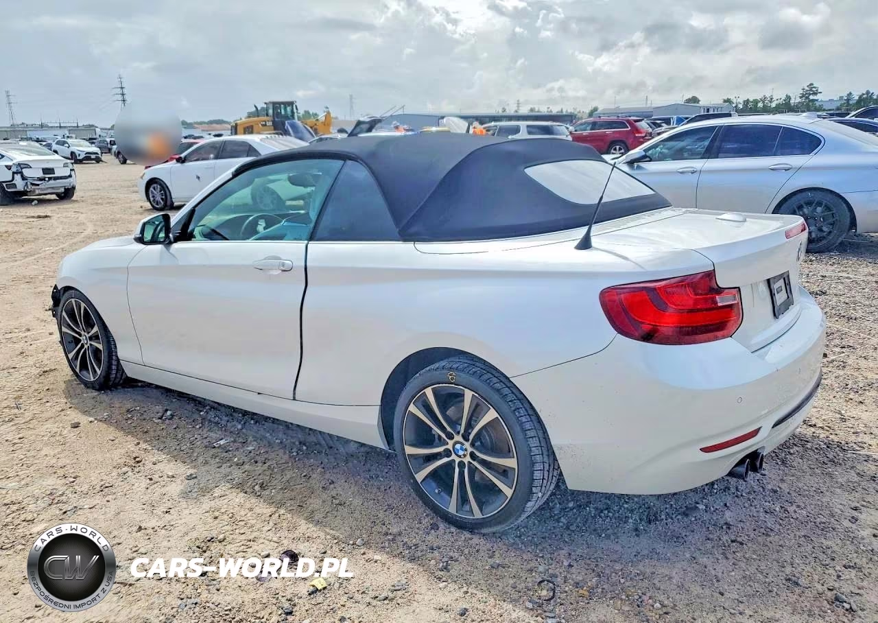 2017 BMW 230I VIN:WBA2K9C35HV647390 - 2