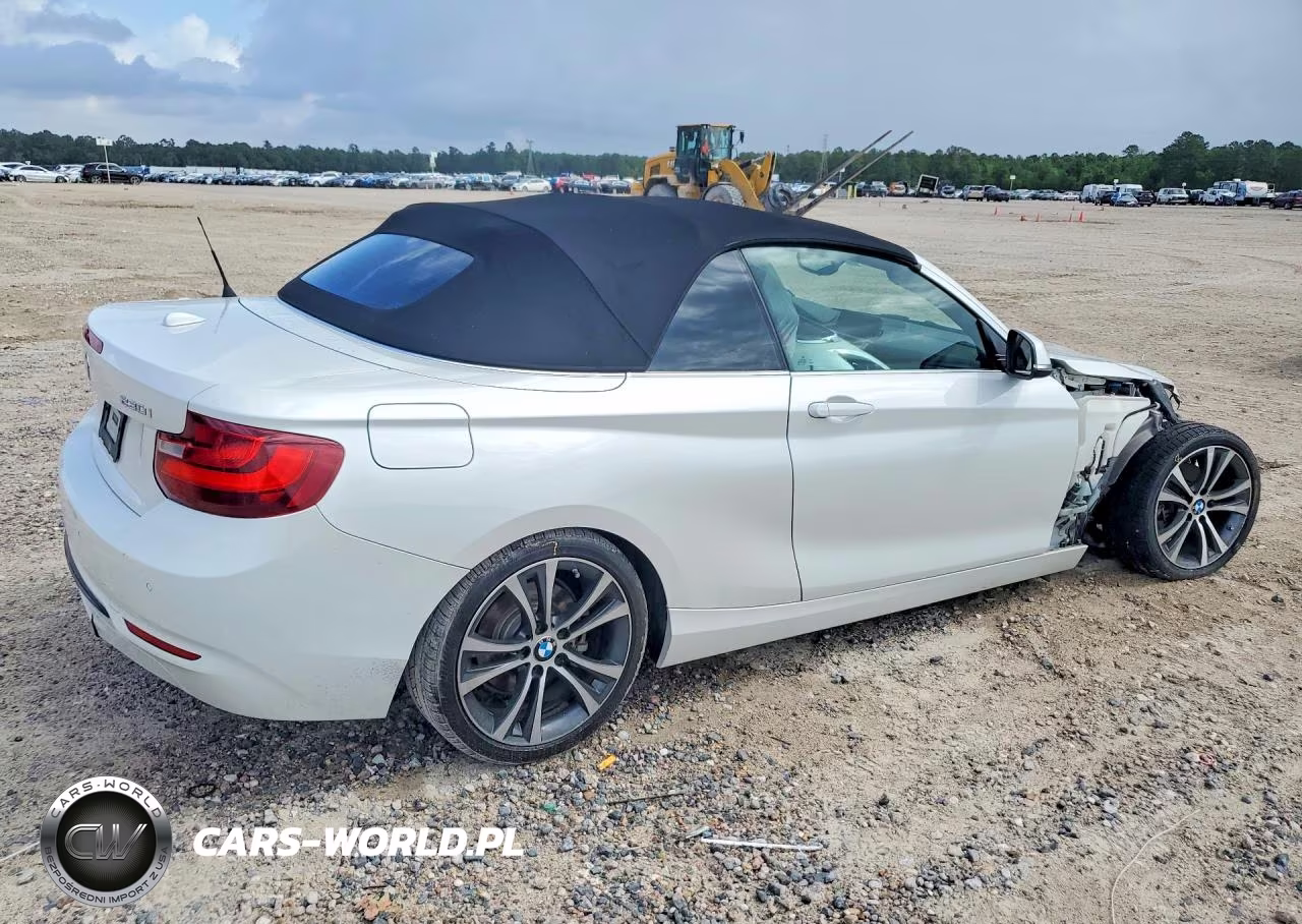 2017 BMW 230I VIN:WBA2K9C35HV647390 - 3