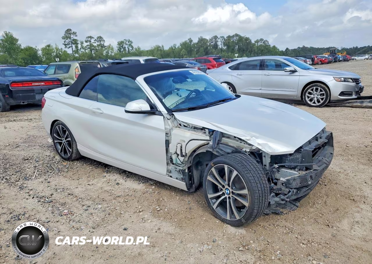 2017 BMW 230I VIN:WBA2K9C35HV647390 - 4