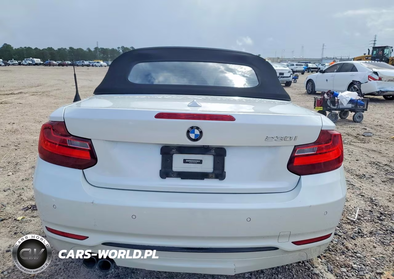 2017 BMW 230I VIN:WBA2K9C35HV647390 - 6