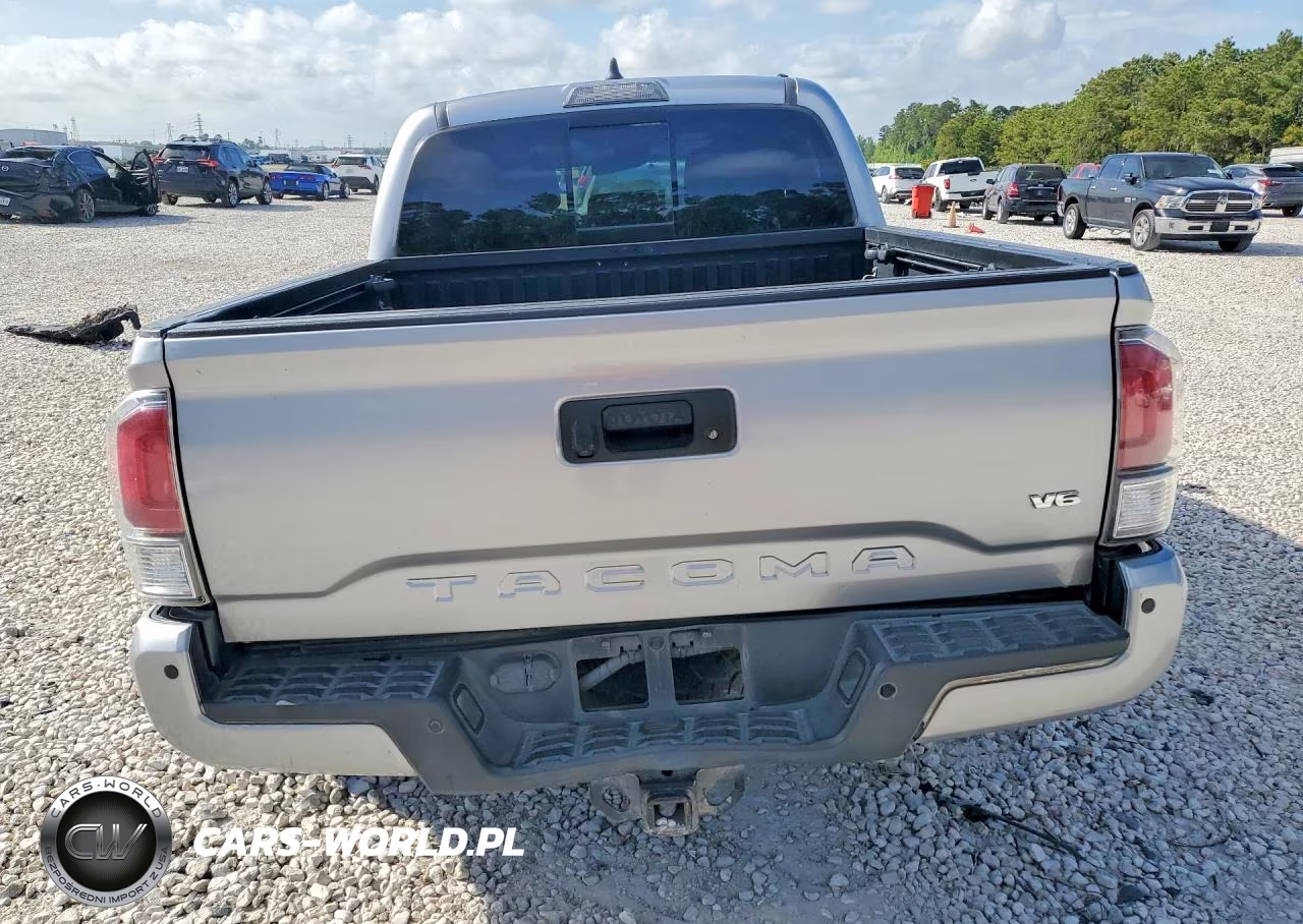 2020 Toyota Tacoma Trd Off-Road VIN:3TMCZ5AN9LM306853 - 6
