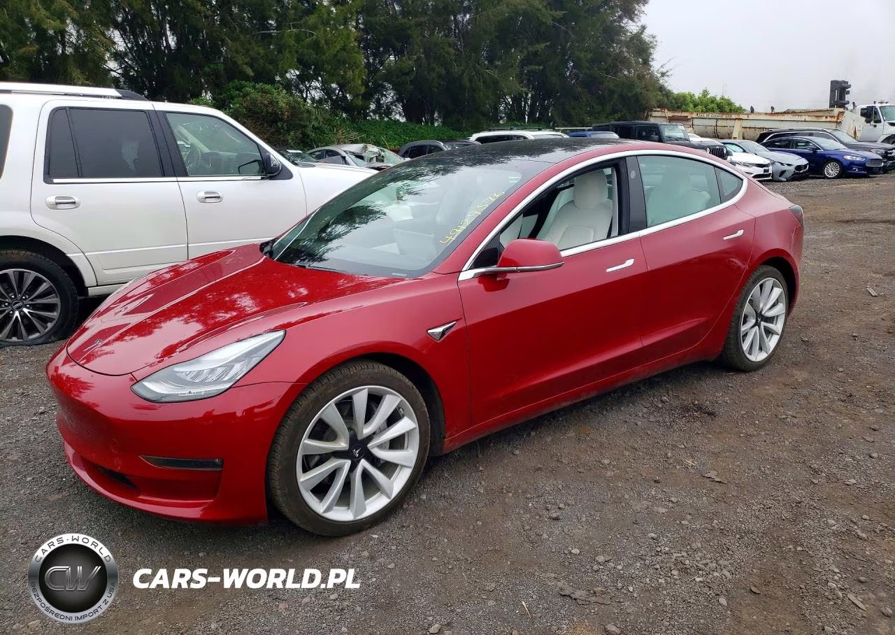 2019 Tesla Model 3