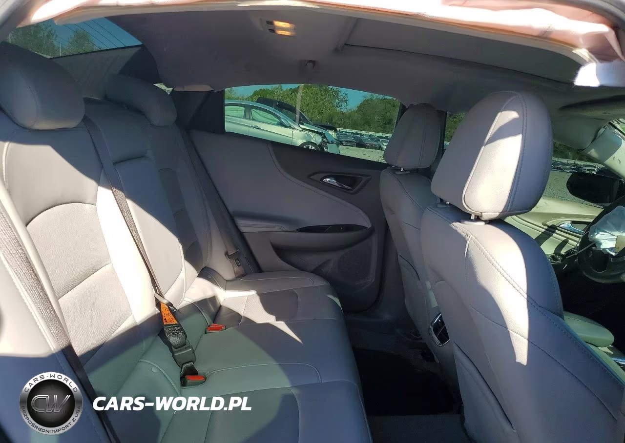 2017 Chevrolet Malibu Premier VIN:1G1ZH5SX5HF191620 - 10