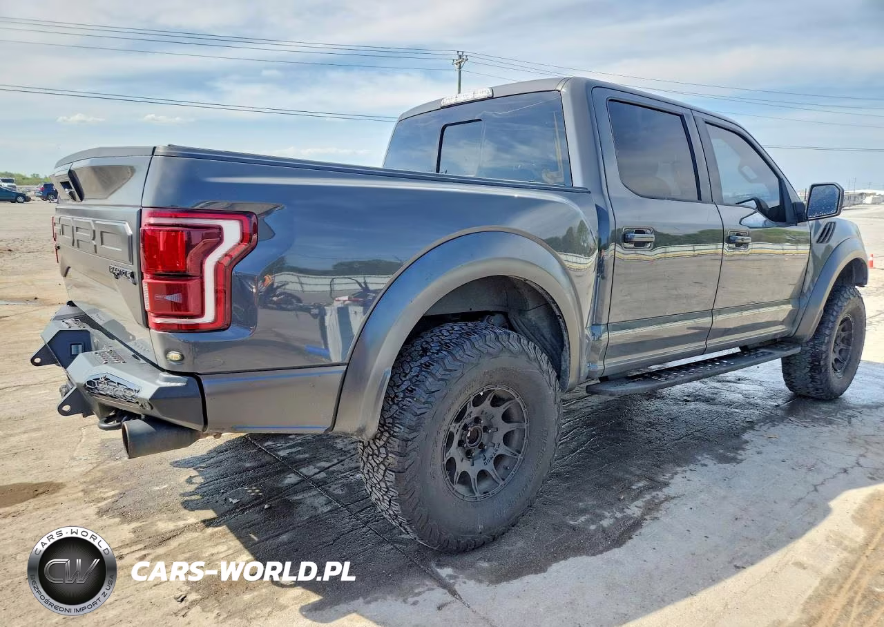 2018 Ford F150 Raptor VIN:1FTFW1RG6JFD82788 - 3