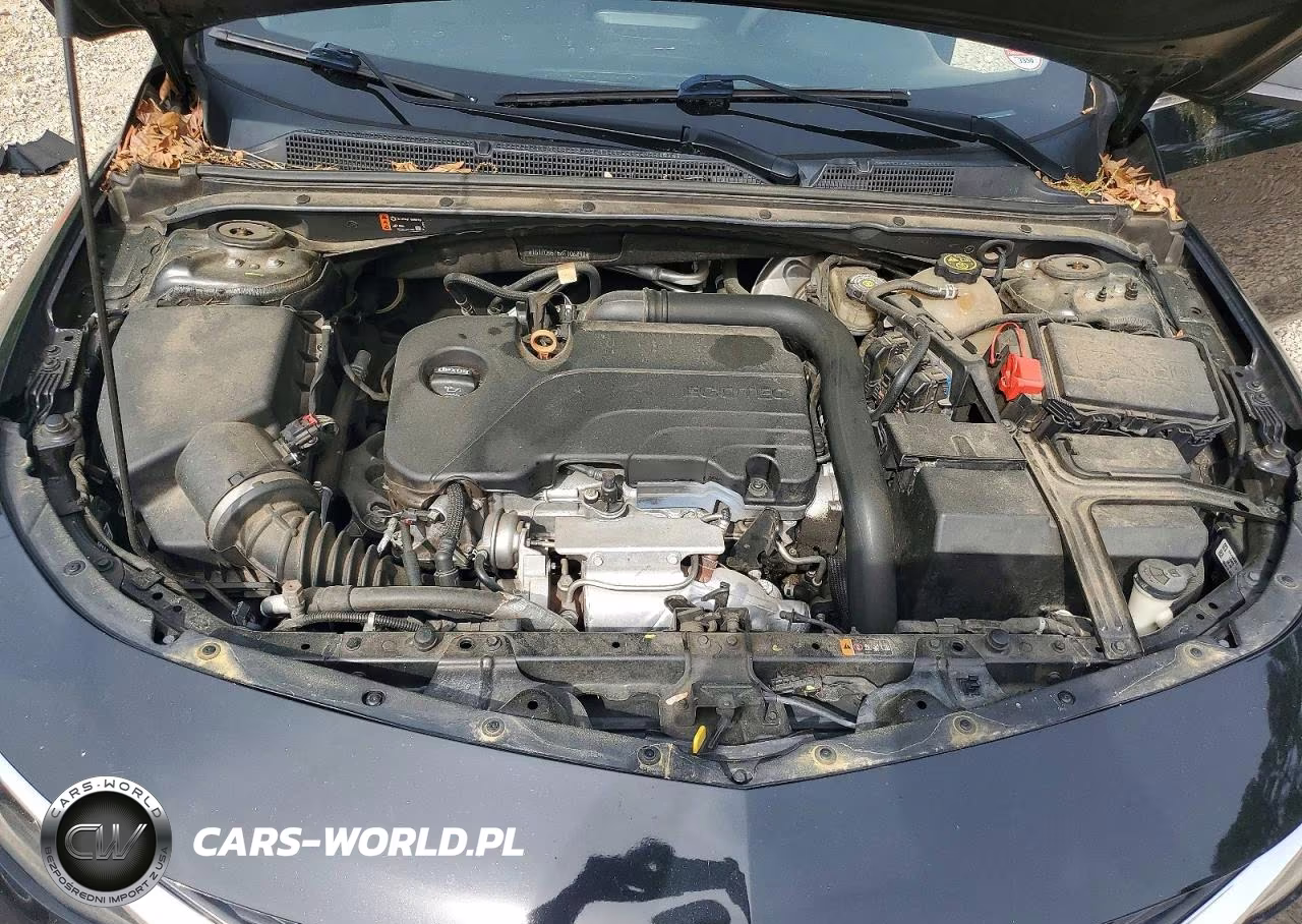 2019 Chevrolet Malibu Lt VIN:1G1ZD5ST5KF106890 - 11