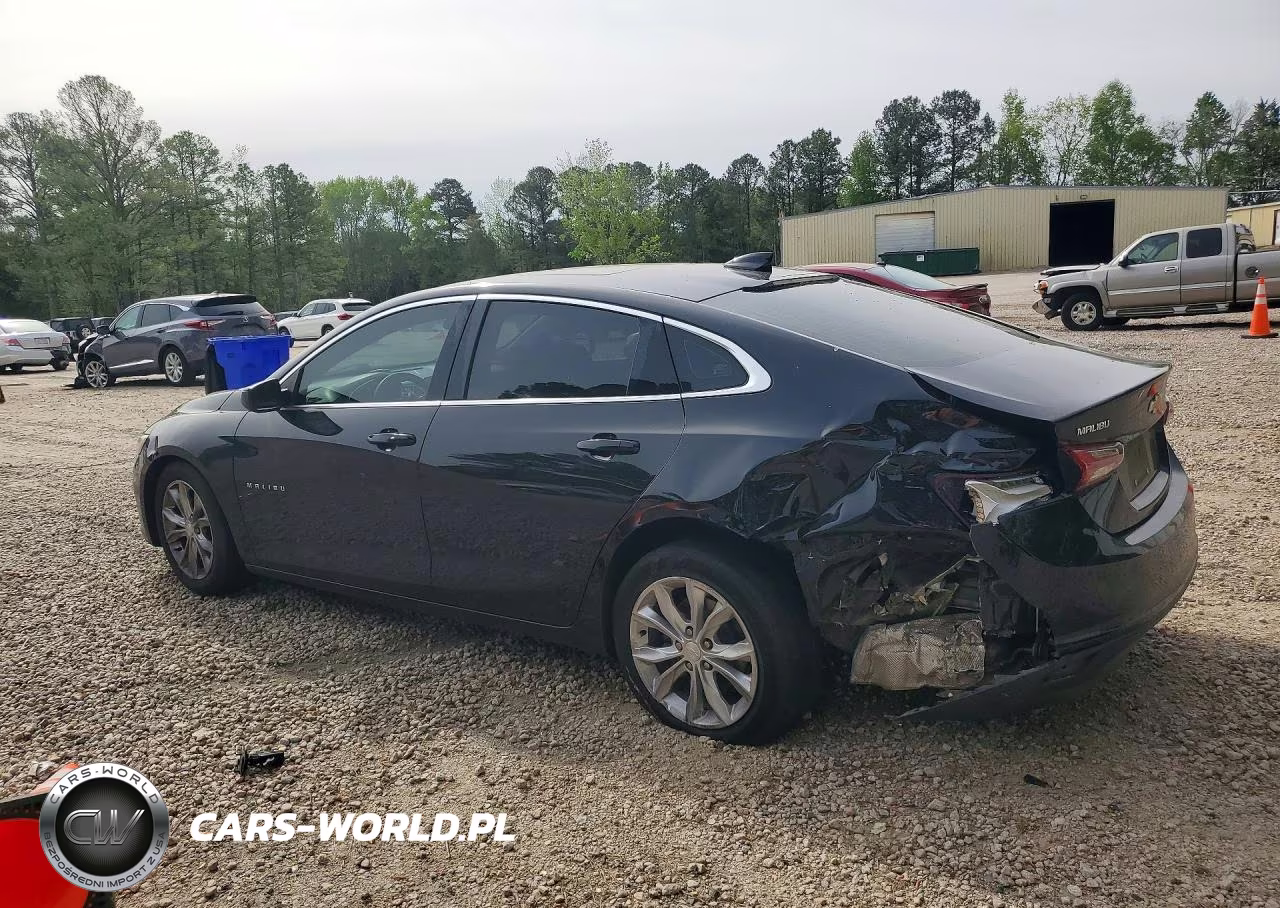 2019 Chevrolet Malibu Lt VIN:1G1ZD5ST5KF106890 - 2