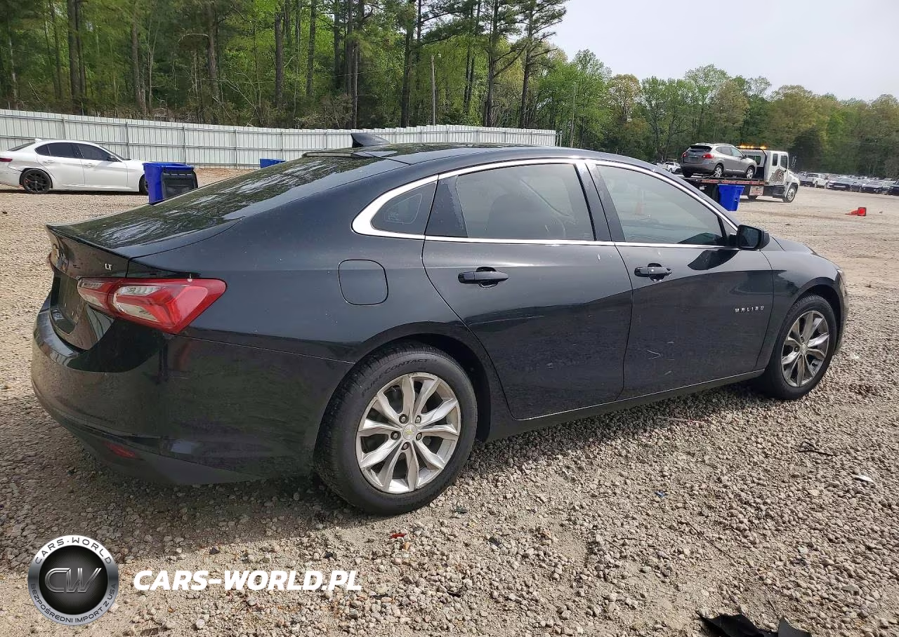 2019 Chevrolet Malibu Lt VIN:1G1ZD5ST5KF106890 - 3