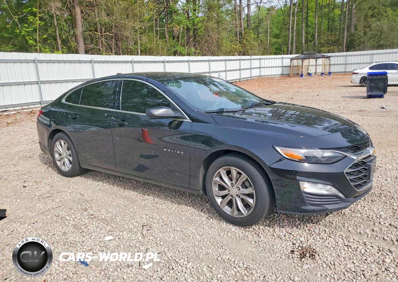 2019 Chevrolet Malibu Lt VIN:1G1ZD5ST5KF106890 - 4