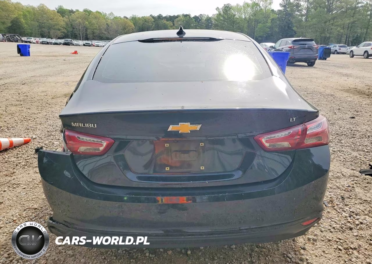 2019 Chevrolet Malibu Lt VIN:1G1ZD5ST5KF106890 - 6