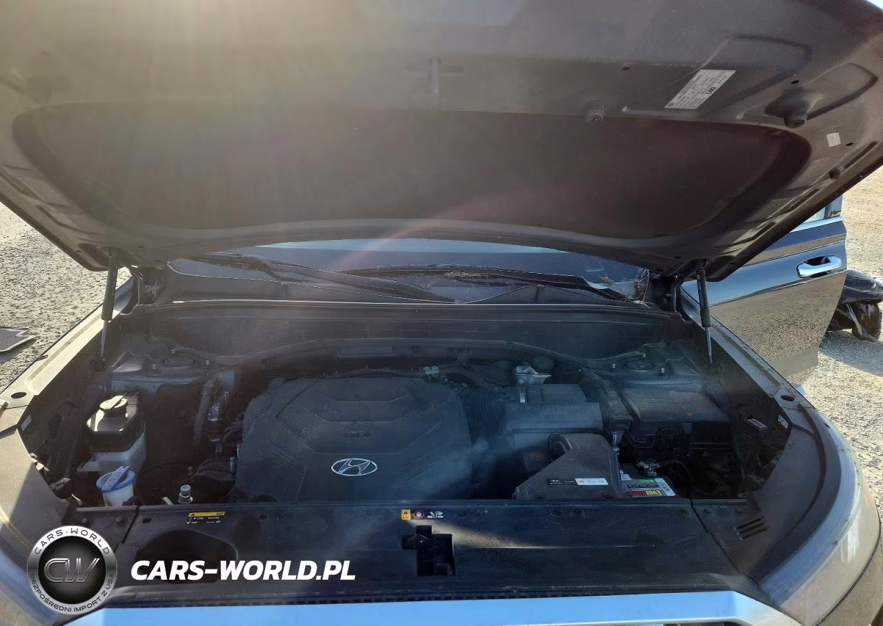 2020 Hyundai Palisade Sel VIN:KM8R44HE0LU039313 - 12