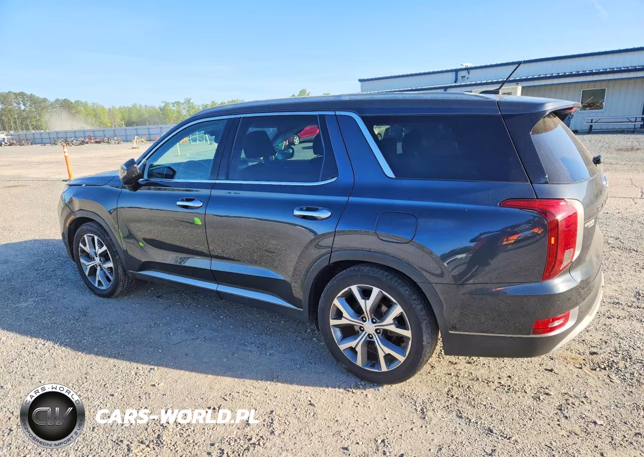 2020 Hyundai Palisade Sel VIN:KM8R44HE0LU039313 - 2