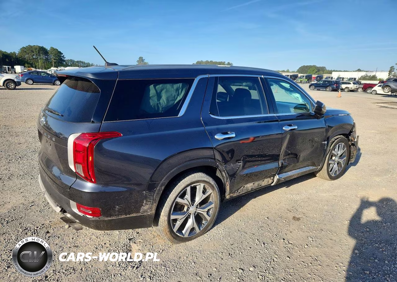 2020 Hyundai Palisade Sel VIN:KM8R44HE0LU039313 - 3