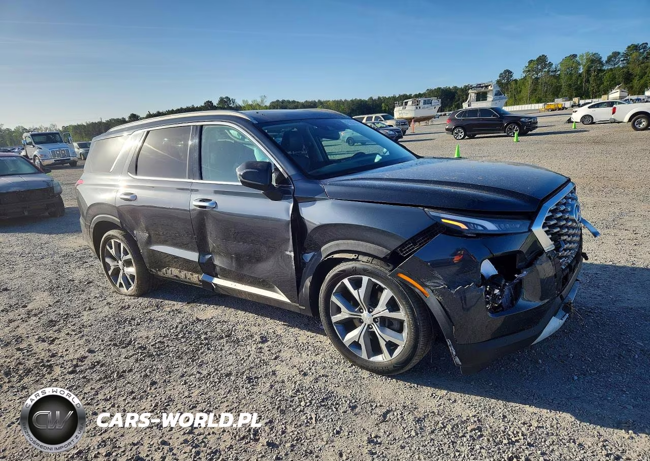 2020 Hyundai Palisade Sel VIN:KM8R44HE0LU039313 - 4