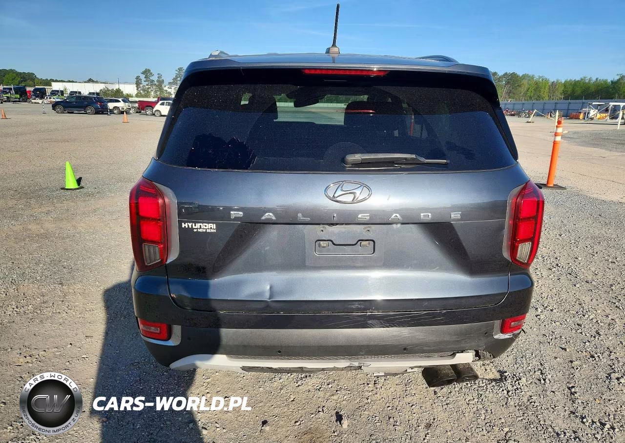 2020 Hyundai Palisade Sel VIN:KM8R44HE0LU039313 - 6