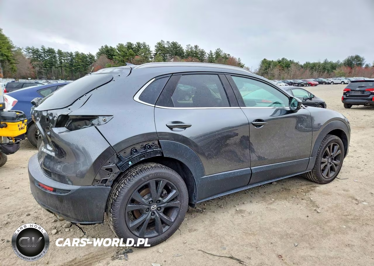 2022 Mazda Cx-30 Premium Plus VIN:3MVDMBEY6NM435589 - 3