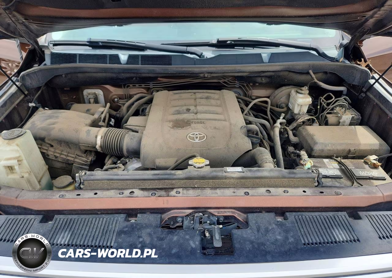 2017 Toyota Tundra 1794 Edition VIN:5TFAW5F14HX664188 - 11