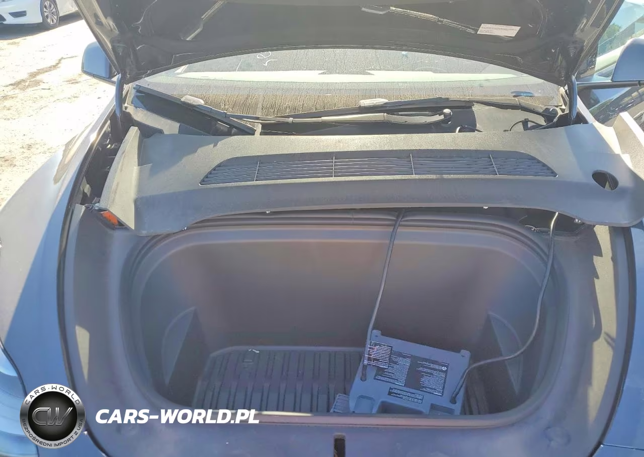 2024 Tesla Model Y VIN:7SAYGDEF2RA267898 - 12