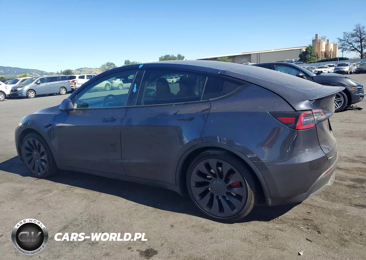 2024 Tesla Model Y VIN:7SAYGDEF2RA267898 - 2
