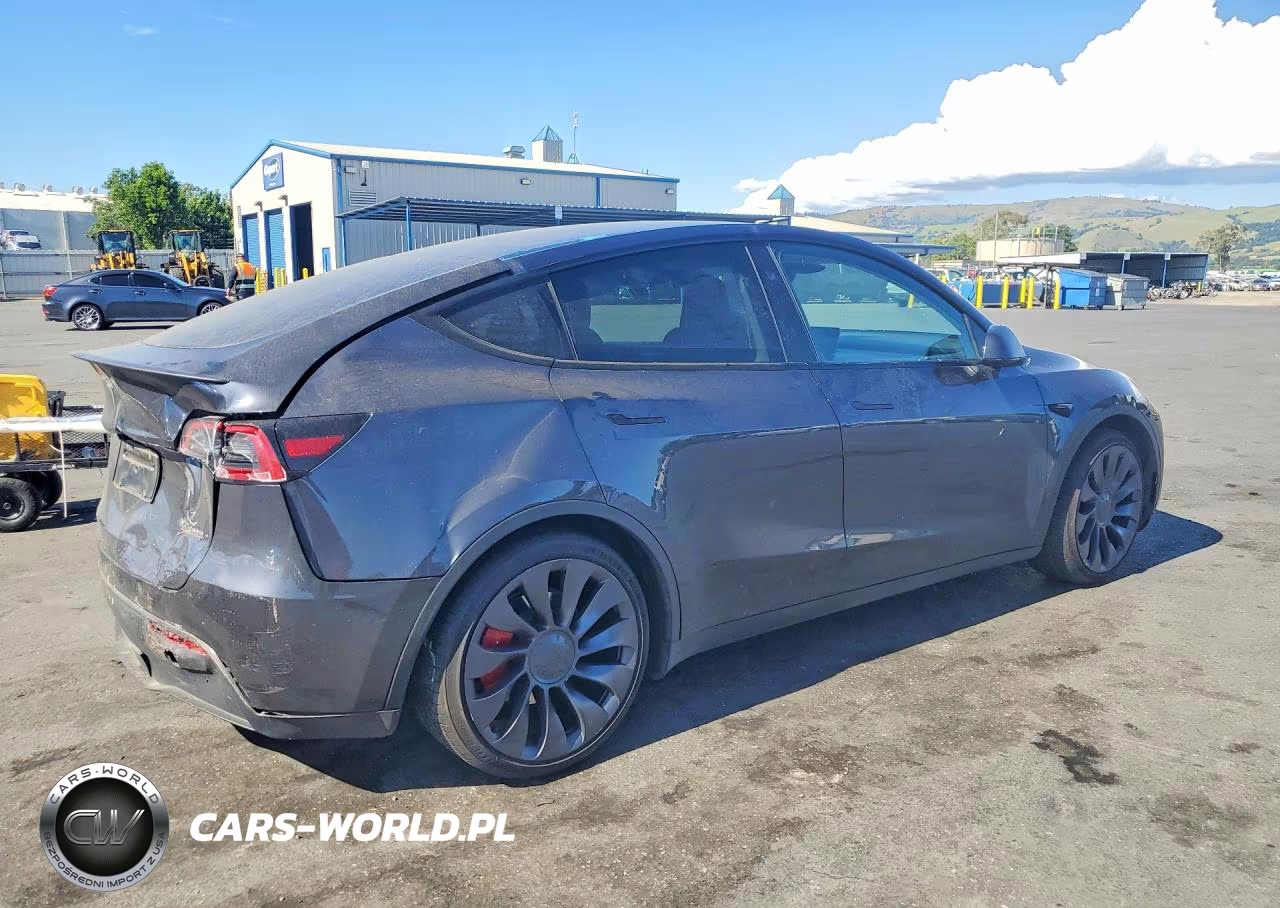 2024 Tesla Model Y VIN:7SAYGDEF2RA267898 - 3