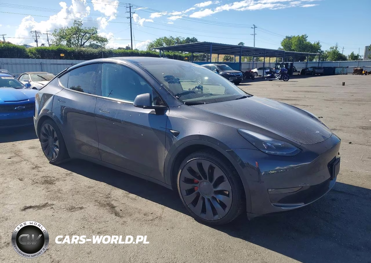 2024 Tesla Model Y VIN:7SAYGDEF2RA267898 - 4