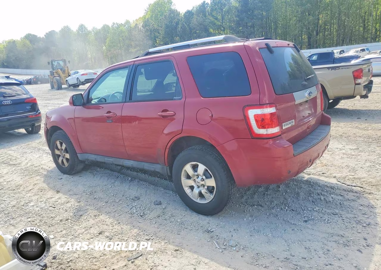 2011 Ford Escape Limited VIN:1FMCU0E74BKB47562 - 2