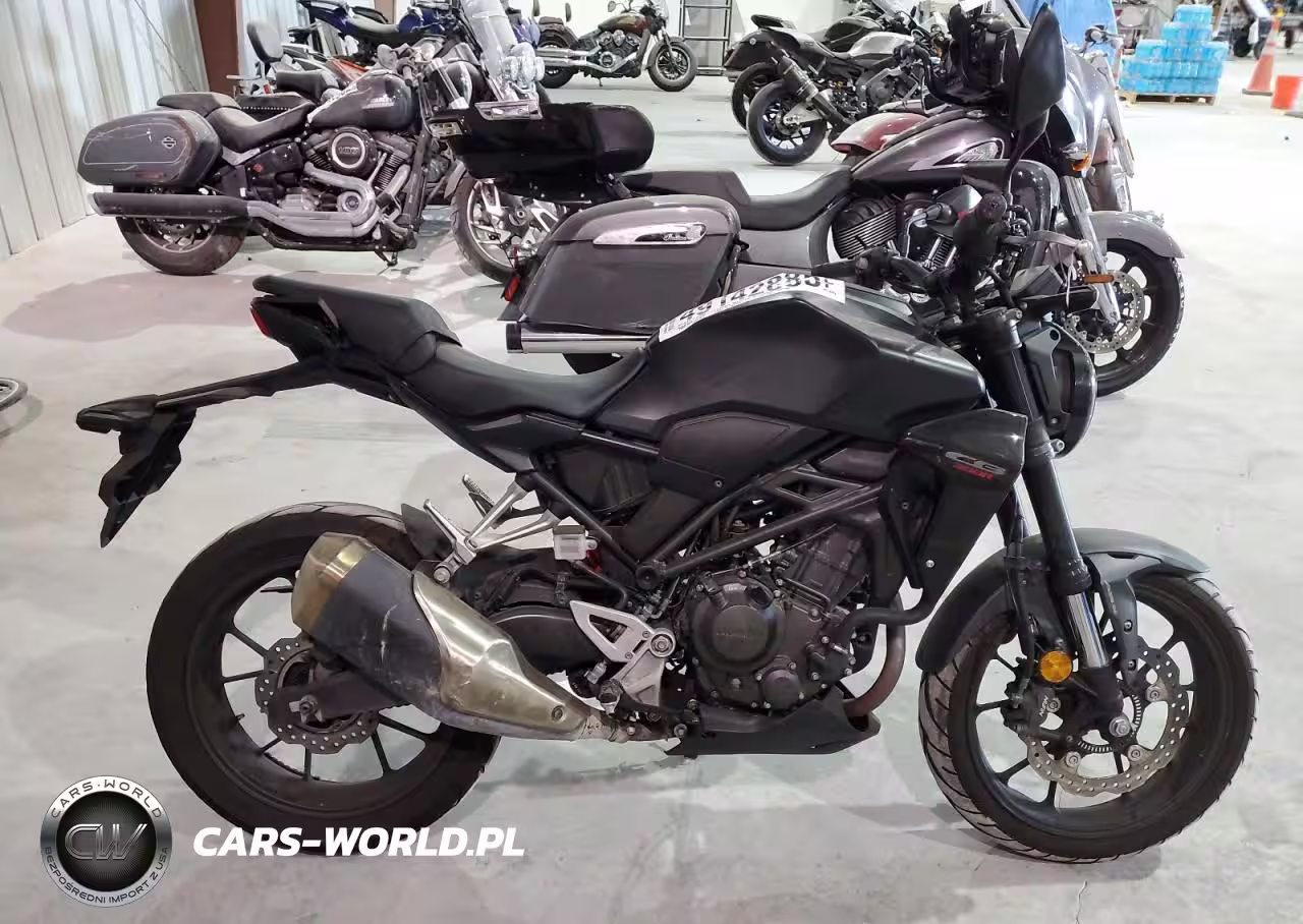 2023 Honda Cbf300 Na