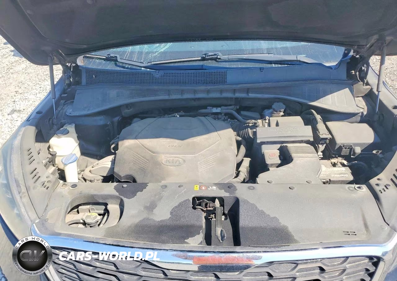 2019 Kia Sorento Lx V6 VIN:5XYPG4A53KG494265 - 12