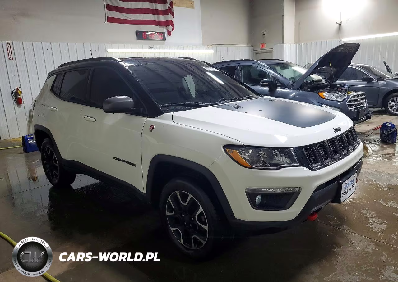 2019 Jeep Compass Trailhawk VIN:3C4NJDDB3KT667916 - 4