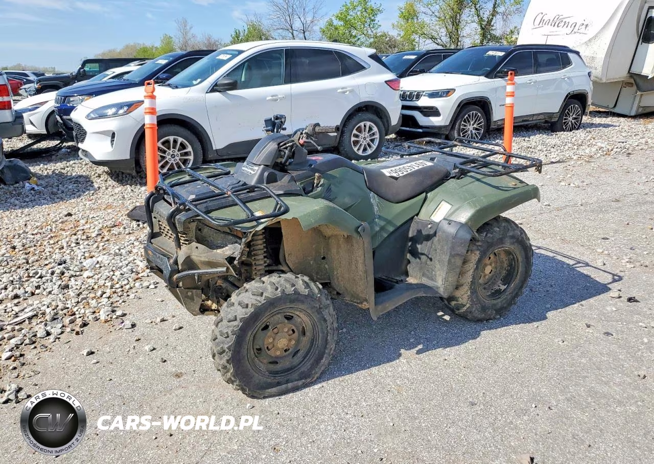 2019 Honda Trx420 Atv VIN:1HFTE403XK4504556 - 2