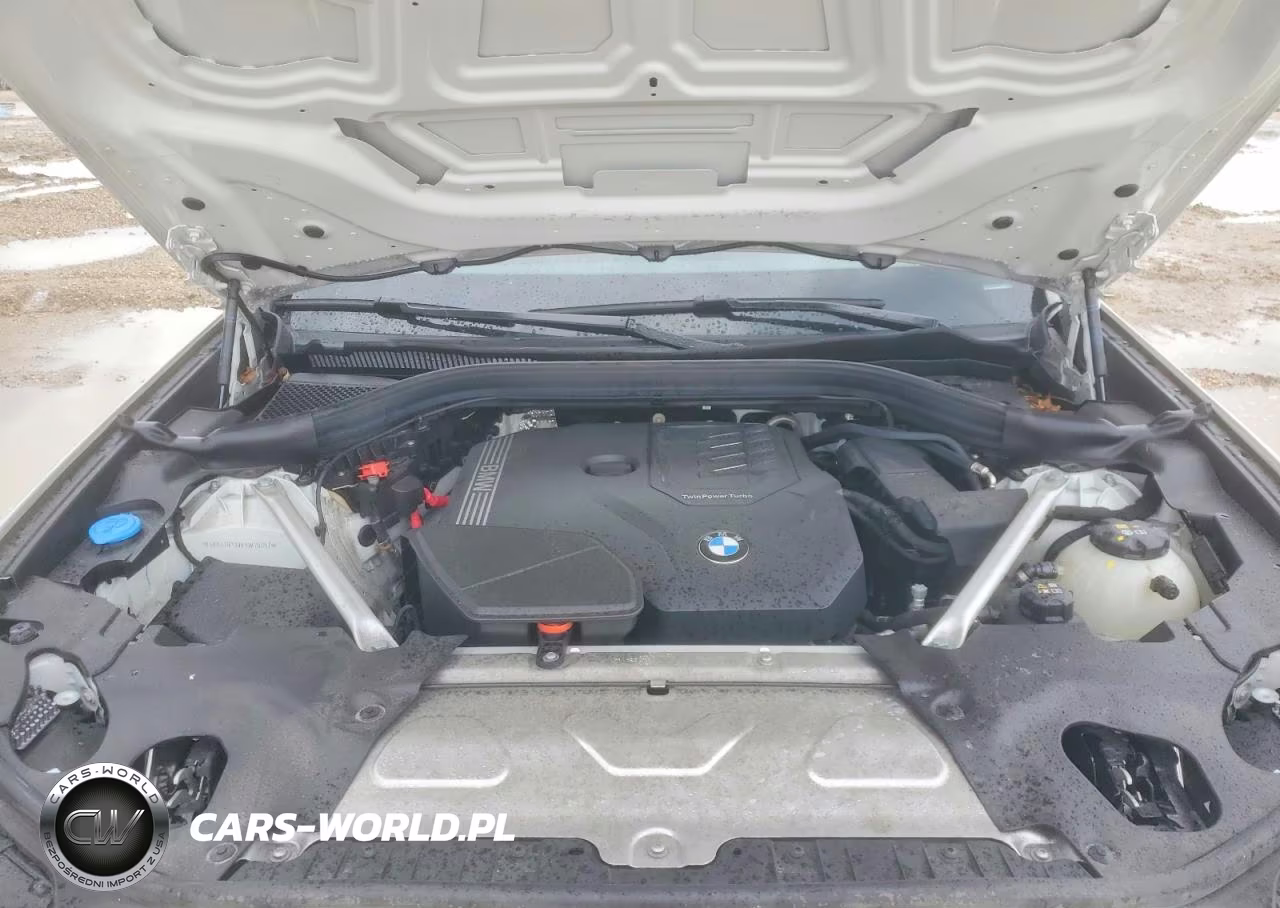 2024 BMW X3 Sdrive30I VIN:5UX43DP00R9W78051 - 12