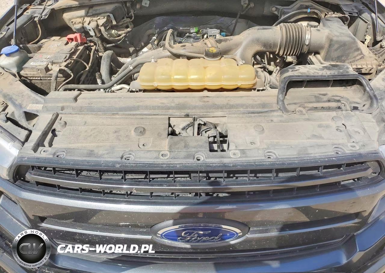 2019 Ford F150 Supercrew VIN:1FTEW1EP6KKF13566 - 11
