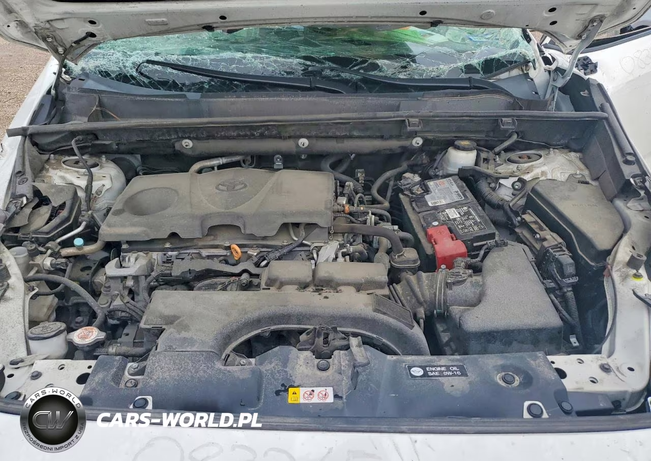 2020 Toyota Rav4 Xle VIN:2T3W1RFV0LW083265 - 12