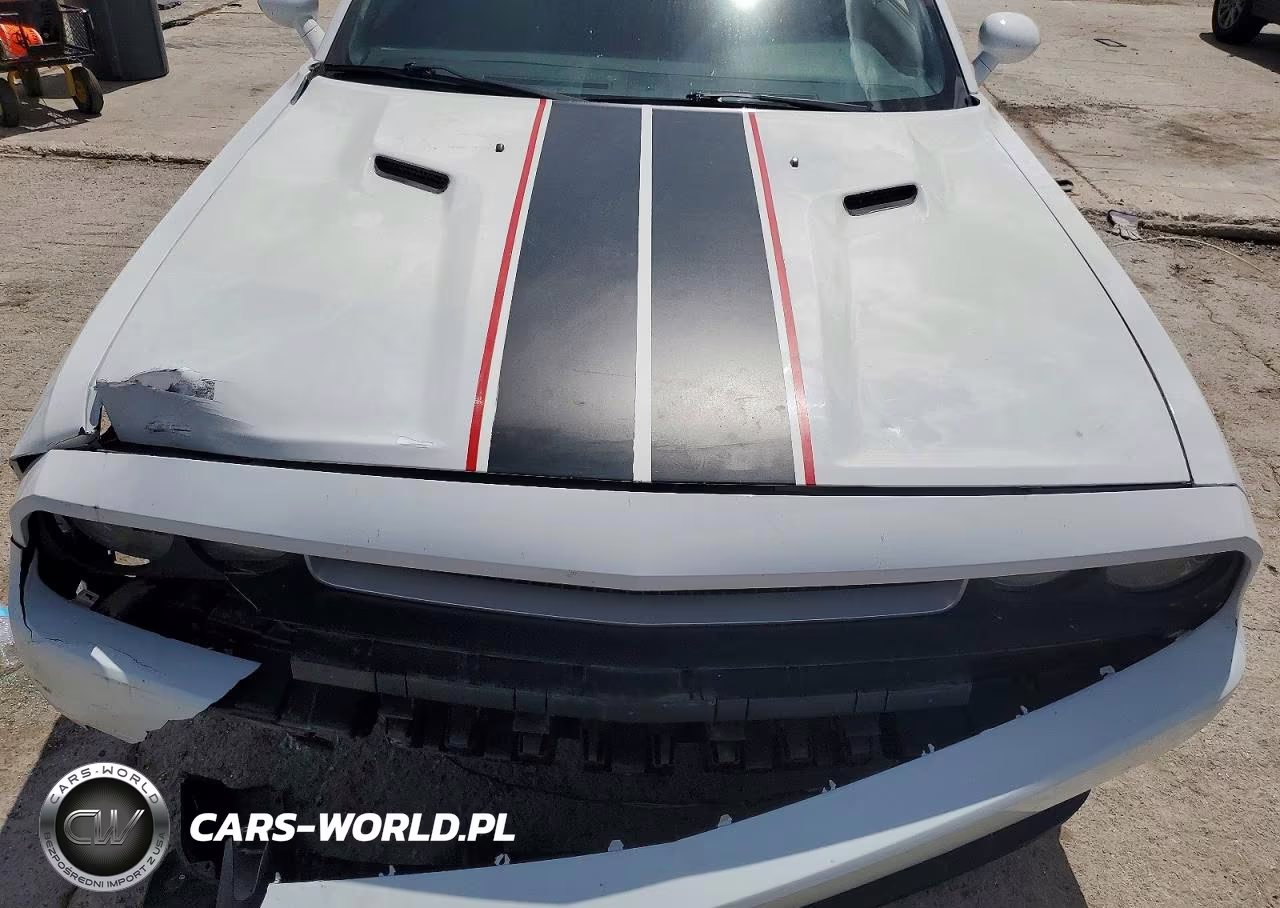 2014 Dodge Challenger R VIN:2C3CDYBT1EH108898 - 11