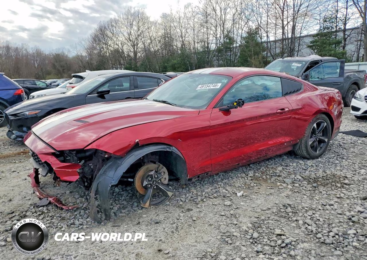 2019 Ford Mustang