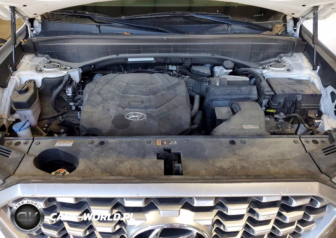 2022 Hyundai Palisade Sel VIN:KM8R24HE9NU488448 - 12