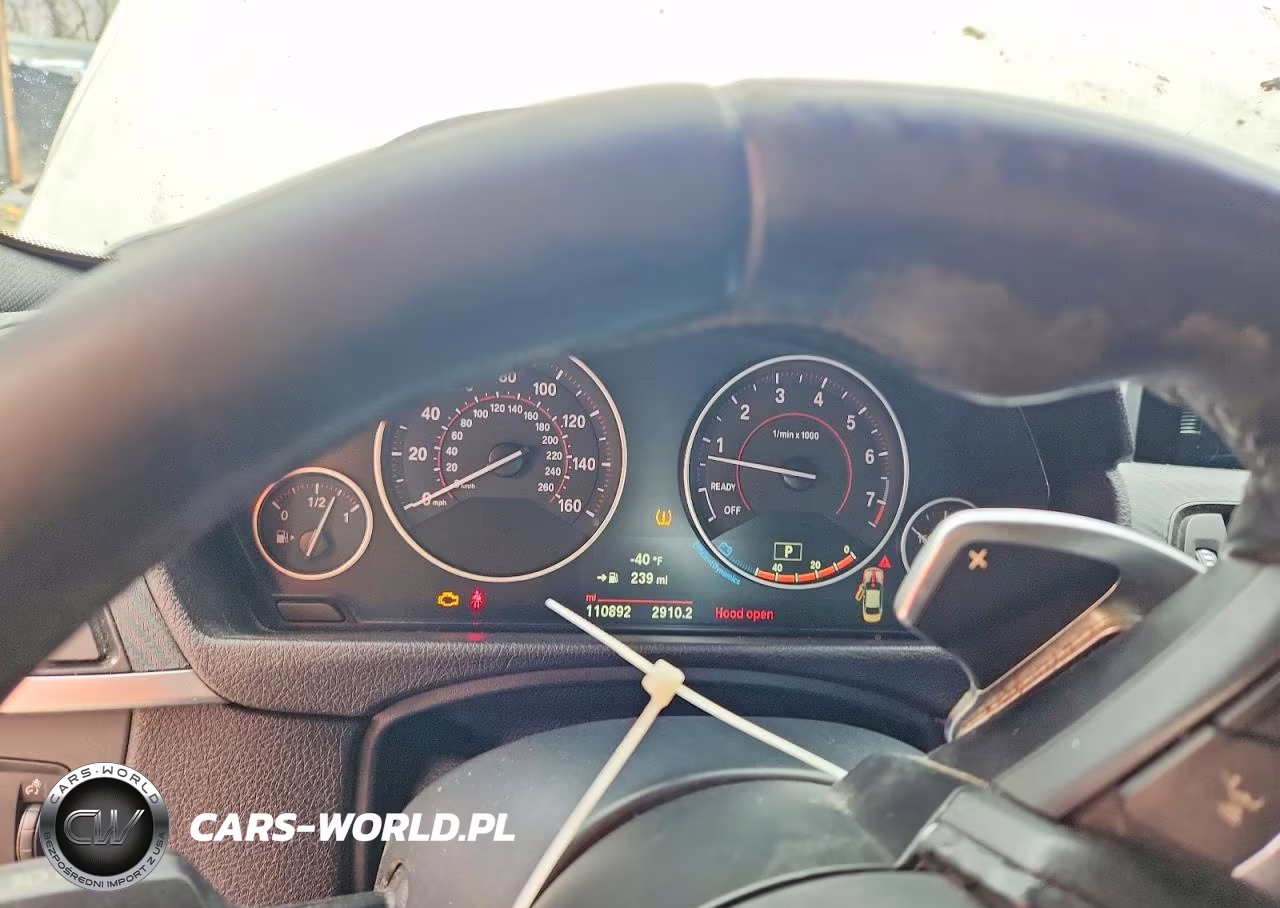 2016 BMW 428 Xi VIN:WBA3N9C56GK250395 - 9