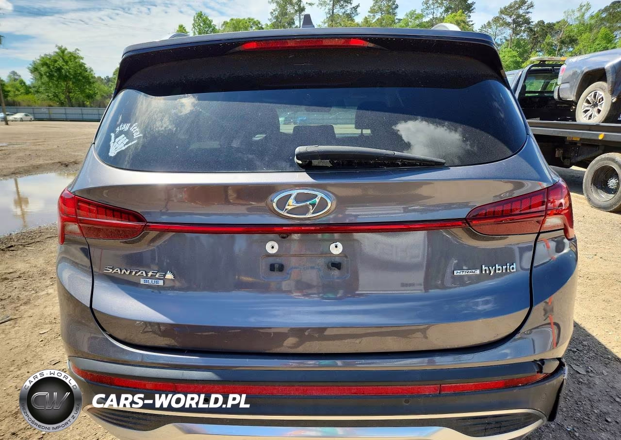 2022 Hyundai Santa Fe Hybrid Blue VIN:KM8S2DA16NU048664 - 6