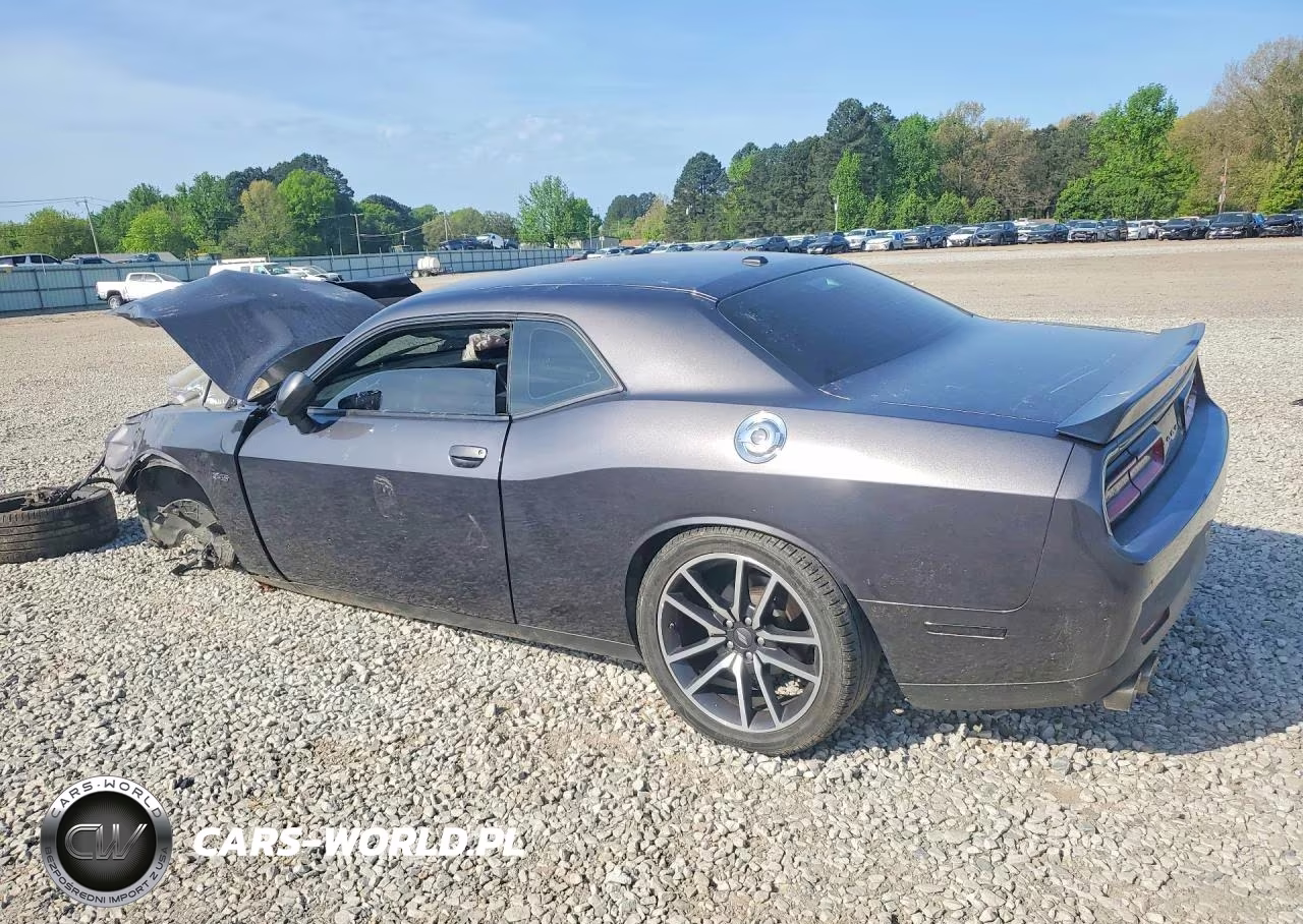 2023 Dodge Challenger R VIN:2C3CDZBT2PH504024 - 2