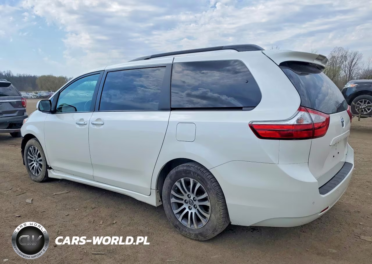 2019 Toyota Sienna Xle 8-Passenger VIN:5TDYZ3DC5KS010697 - 2