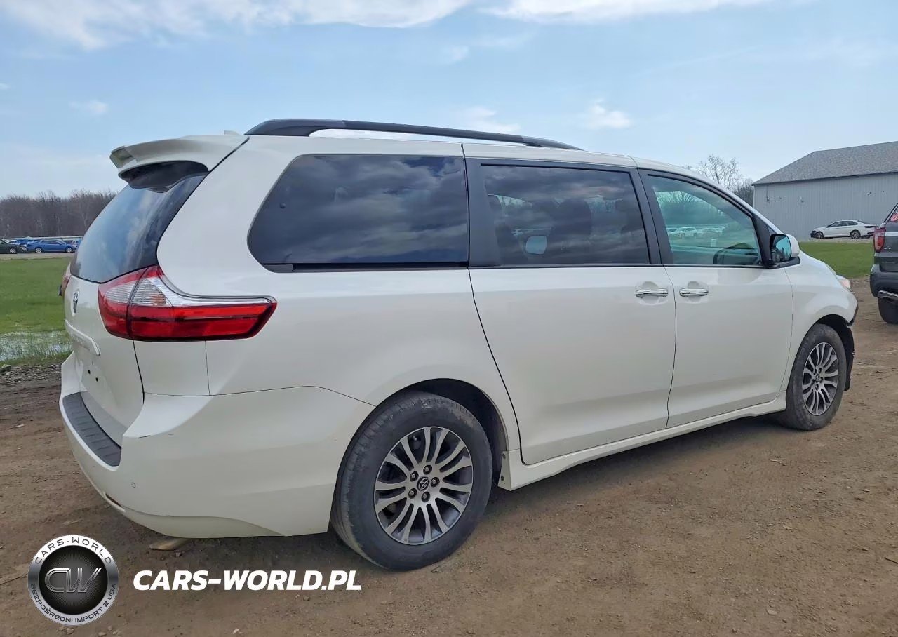 2019 Toyota Sienna Xle 8-Passenger VIN:5TDYZ3DC5KS010697 - 3