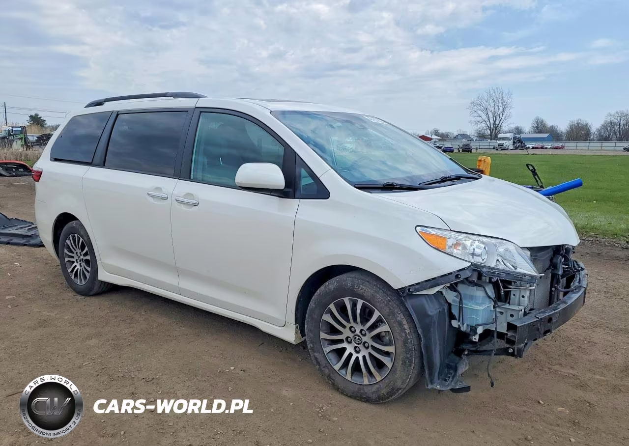 2019 Toyota Sienna Xle 8-Passenger VIN:5TDYZ3DC5KS010697 - 4