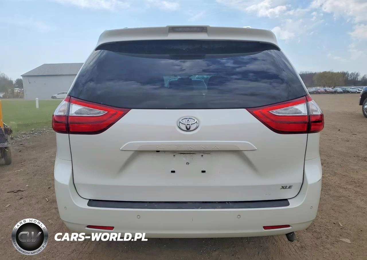 2019 Toyota Sienna Xle 8-Passenger VIN:5TDYZ3DC5KS010697 - 6