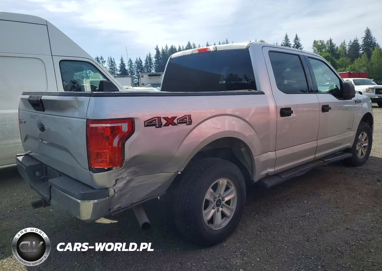 2016 Ford F150 Supercrew VIN:1FTEW1EG9GFA22635 - 3