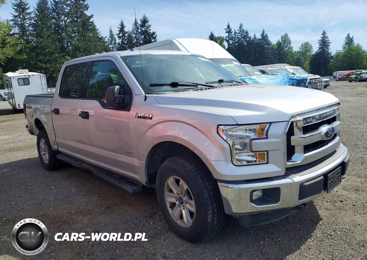 2016 Ford F150 Supercrew VIN:1FTEW1EG9GFA22635 - 4