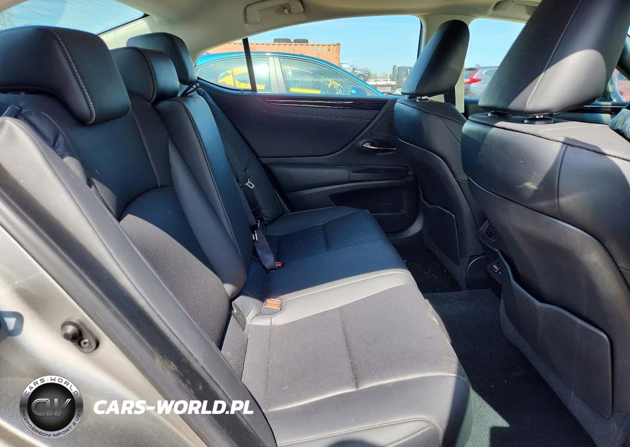2021 Lexus Es 250 Base VIN:58AD11D13MU007485 - 10