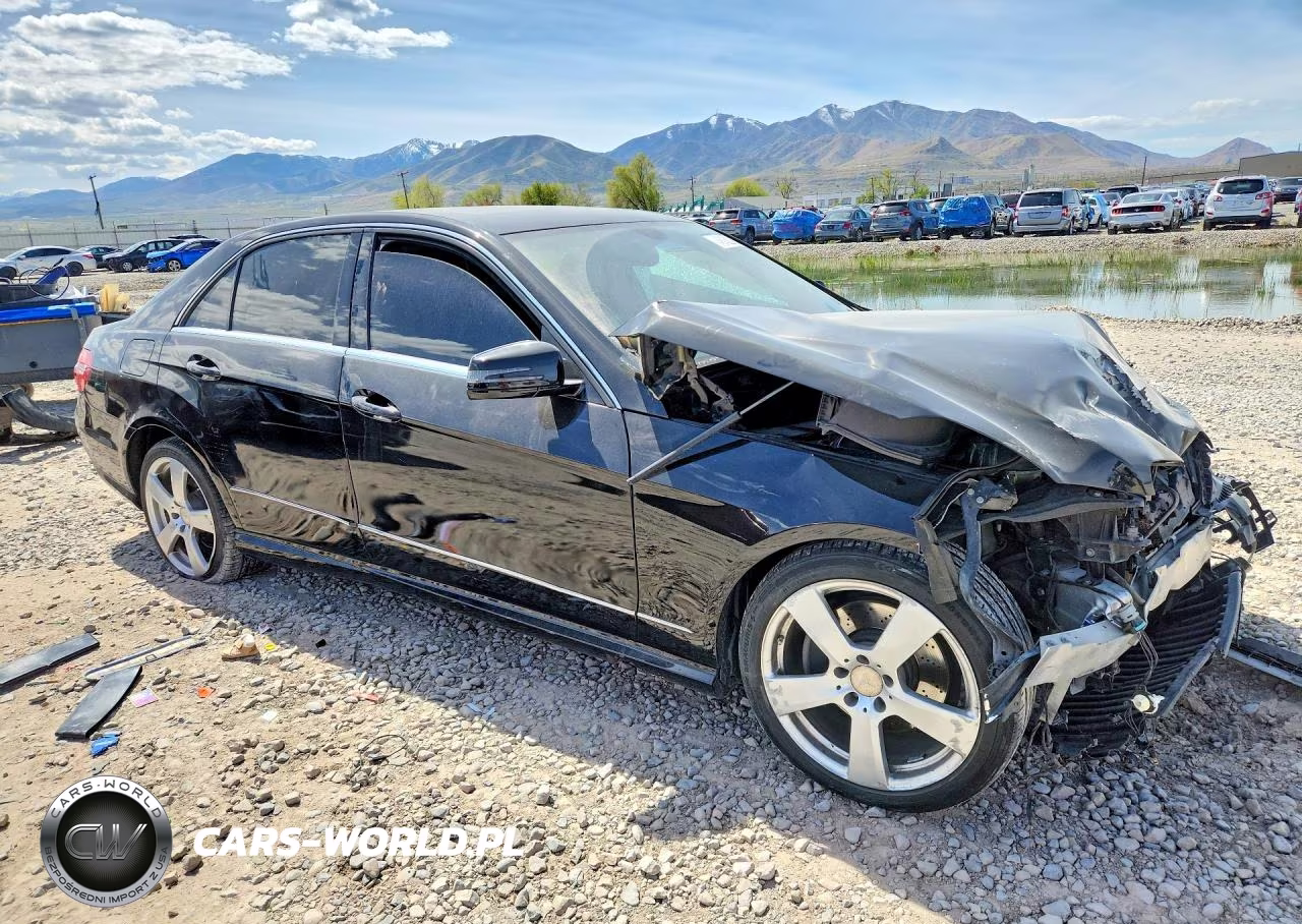 2010 Mercedes-Benz E 350 4Matic VIN:WDDHF8HBXAA098655 - 4