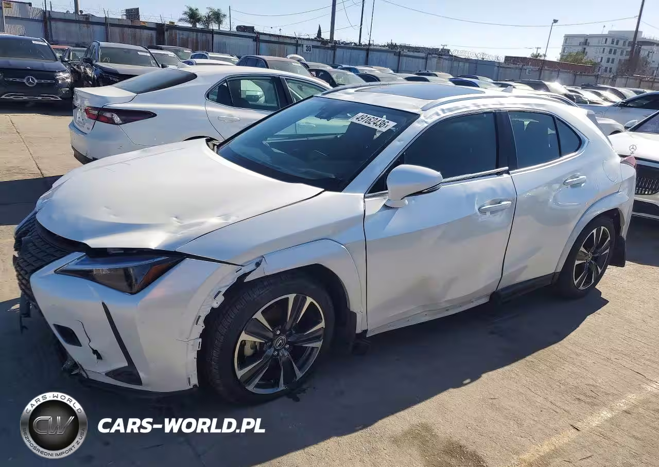 2025 Lexus Ux 300H Premium