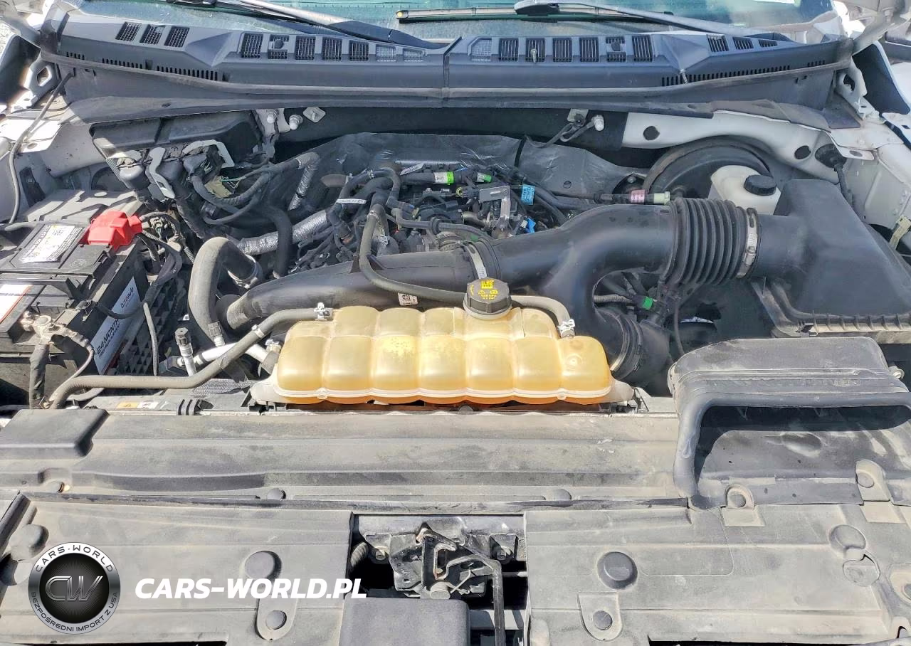 2019 Ford F150 Supercrew VIN:1FTEW1CP6KKD10809 - 11