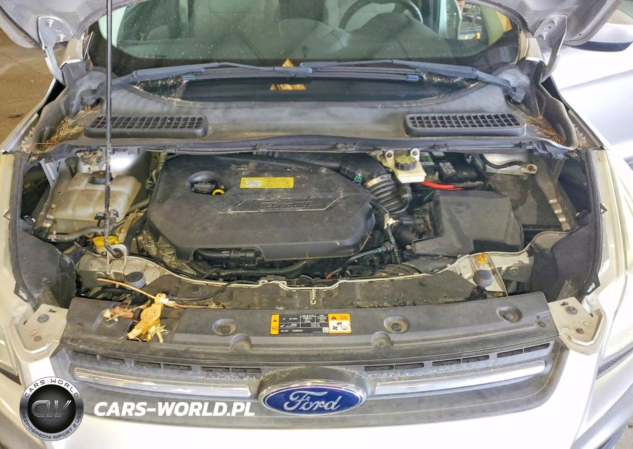 2013 Ford Escape VIN:1FMCU0GX6DUB47230 - 11